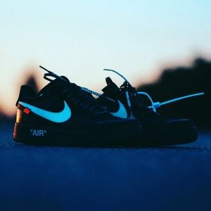 Meet your Posher, Barney.swiper2